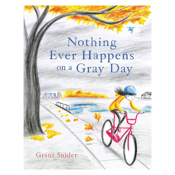 Nothing Ever Happens on a Gray Day Book