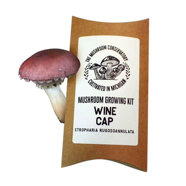 Wine Cap Mushroom Growing Kit