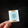 Accordion Scratch - Off: 6 Fortunes - DIGS