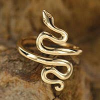 Adjustable Bronze Snake Ring - DIGS