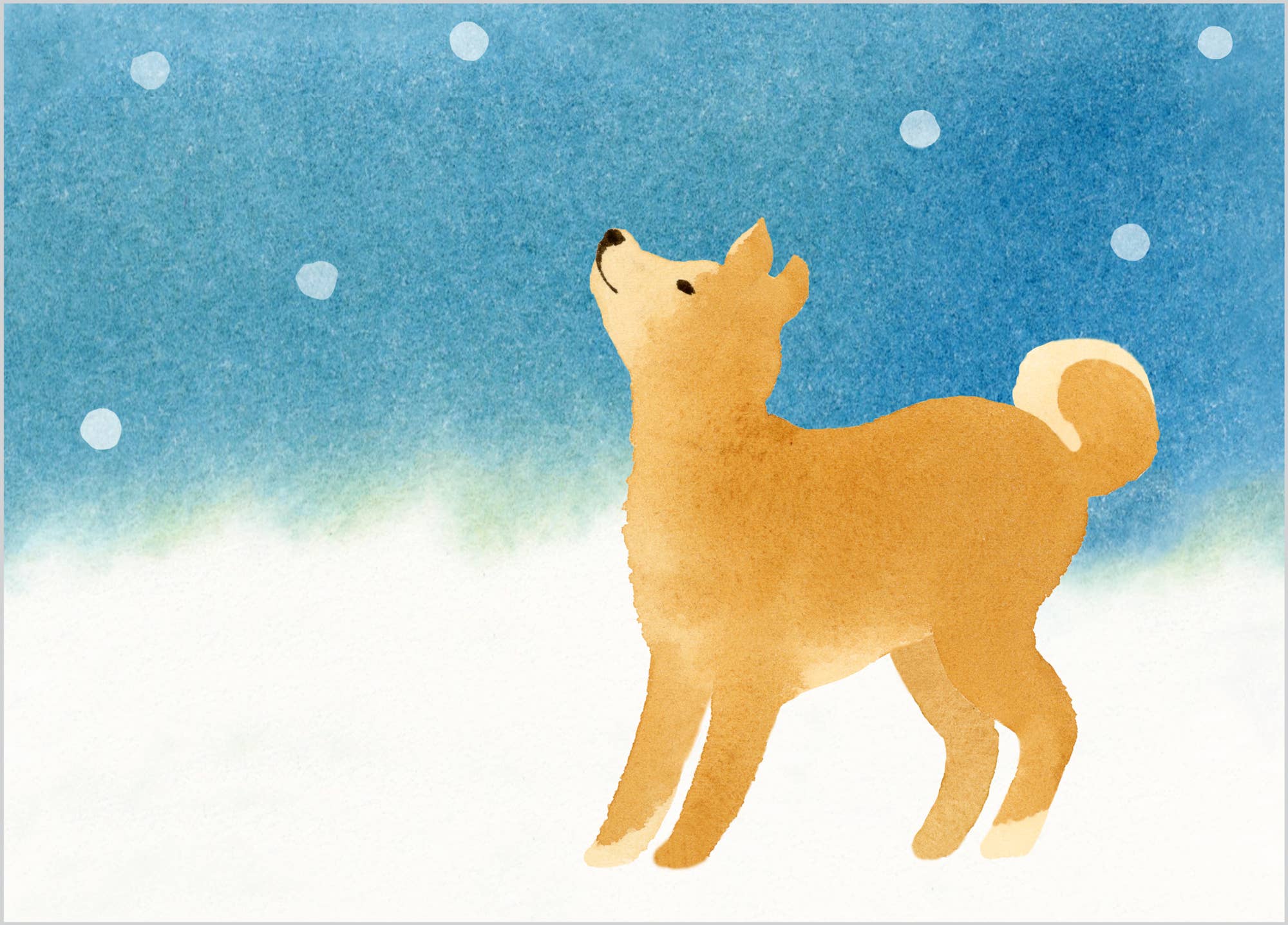 Akita in Snow Card - DIGS