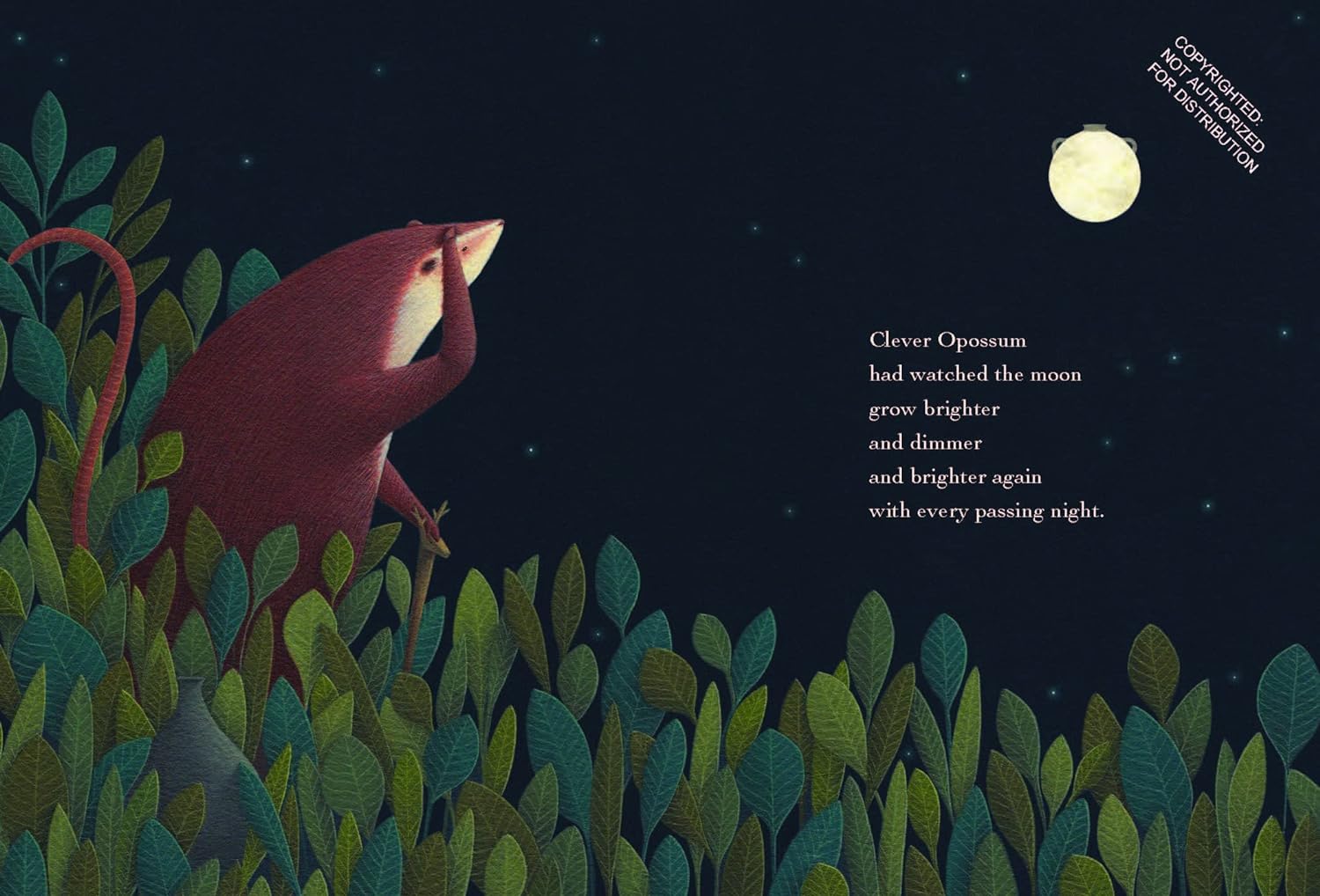 Ancient Night - DIGS