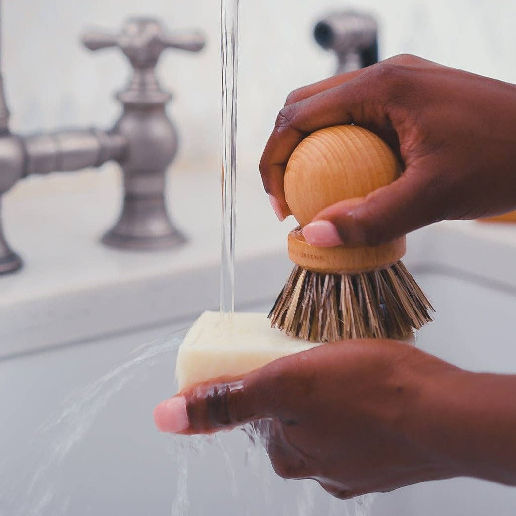 Beechwood Pot Scrubber - DIGS
