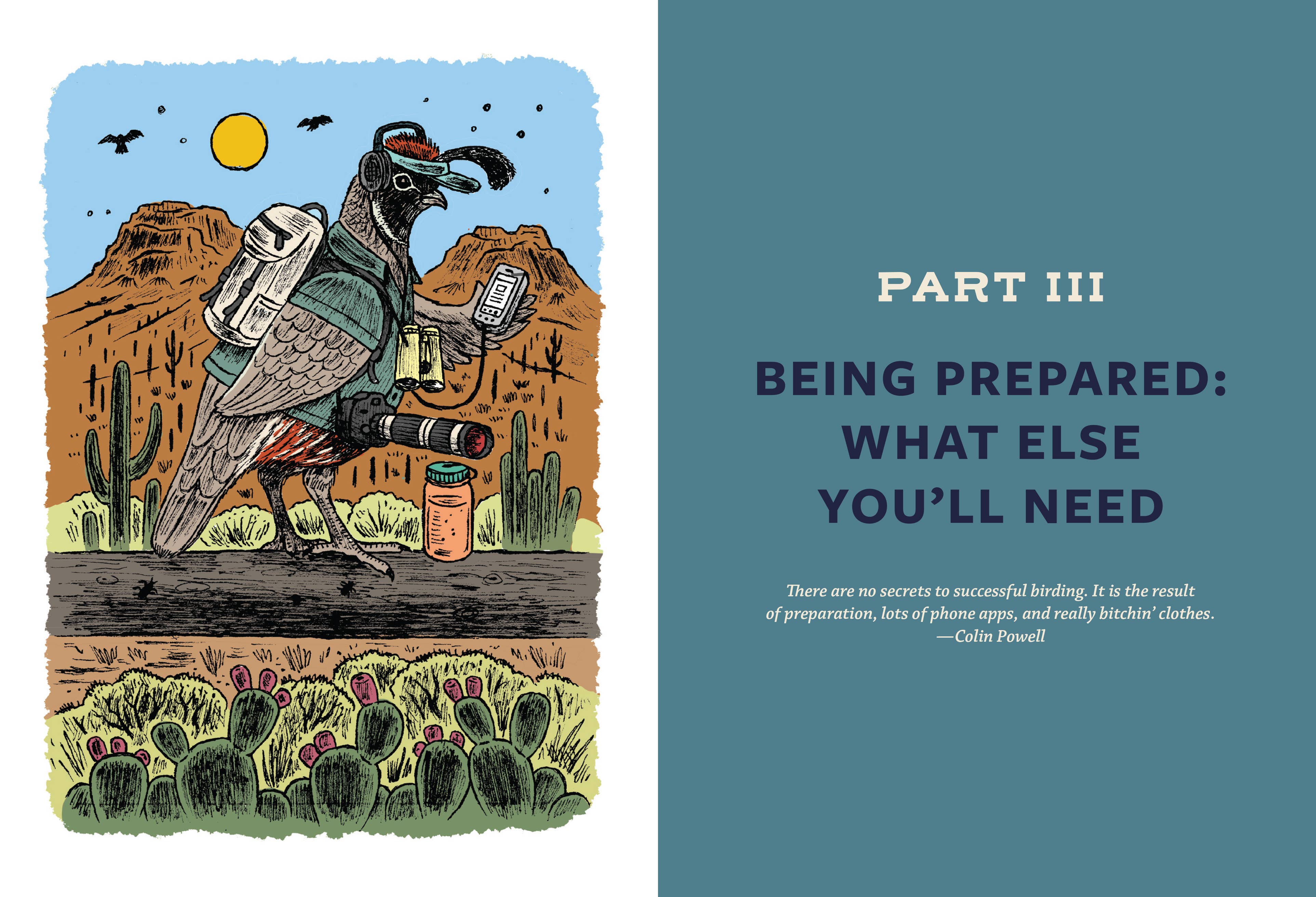 Birding for Boomers - DIGS