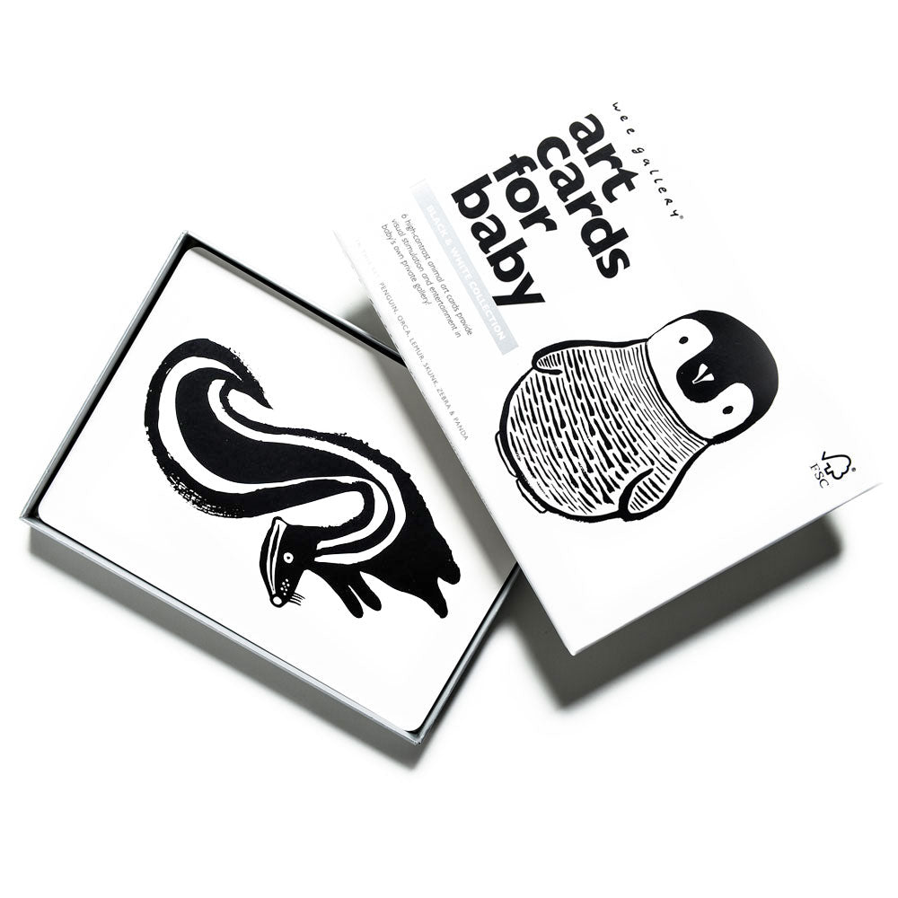 Black and White Art Cards - DIGS