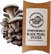 Black Pearl Oyster Mushroom Growing Kit - DIGS
