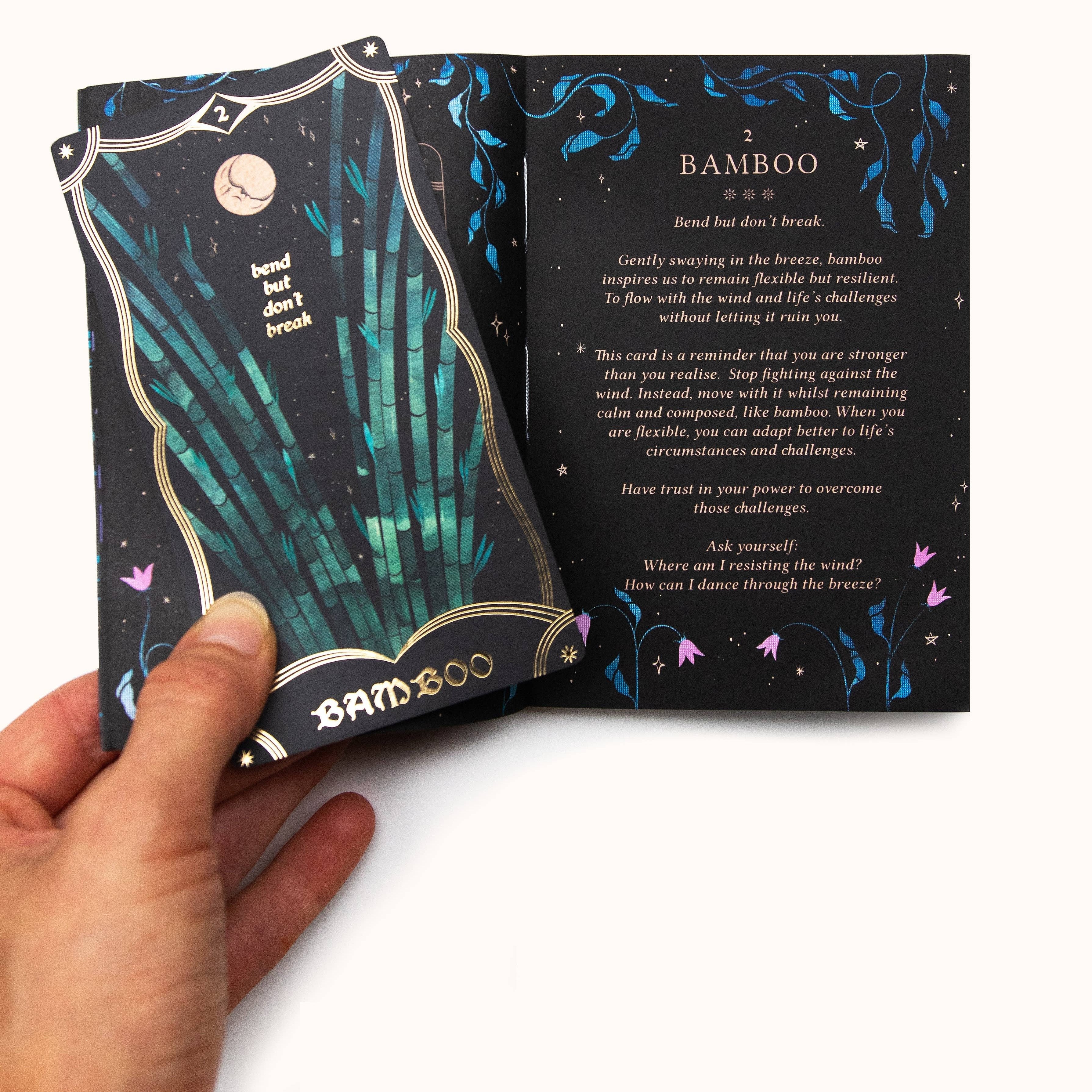 Bloom Oracle Deck - DIGS