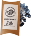 Blue Oyster Mushroom Growing Kit - DIGS