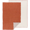 Cinnamon Stick Double Weave Dishtowels - DIGS