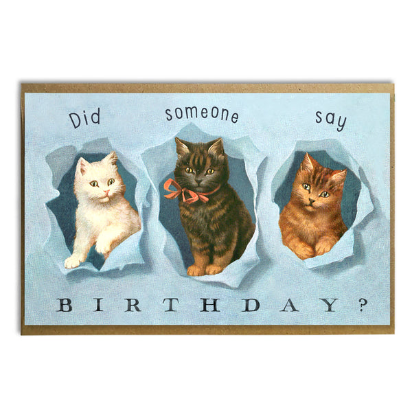 Did Someone Say Birthday? Card - DIGS