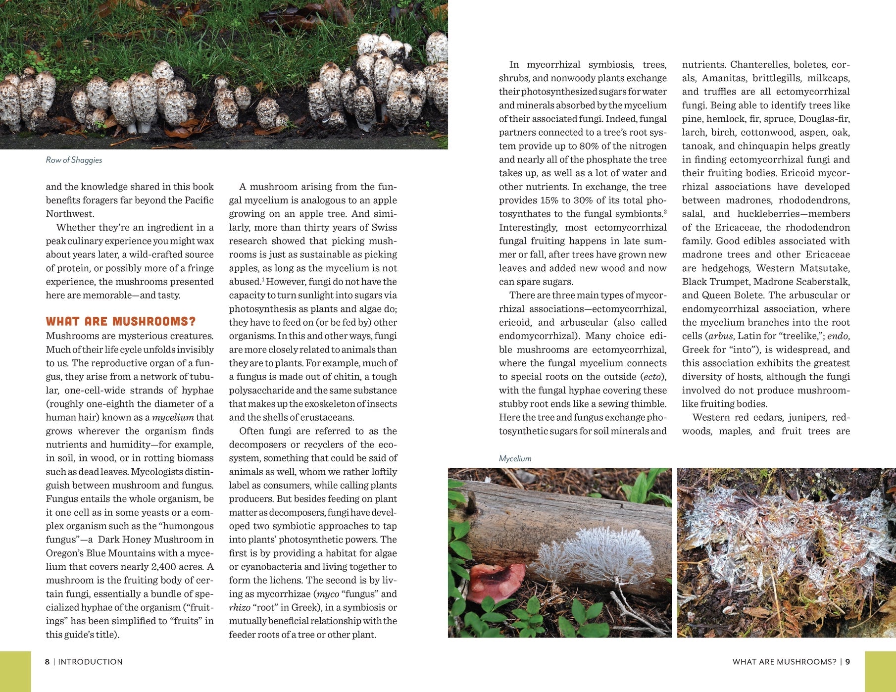 Fruits of the Forest: A Field Guide to PNW Edible Mushrooms - DIGS