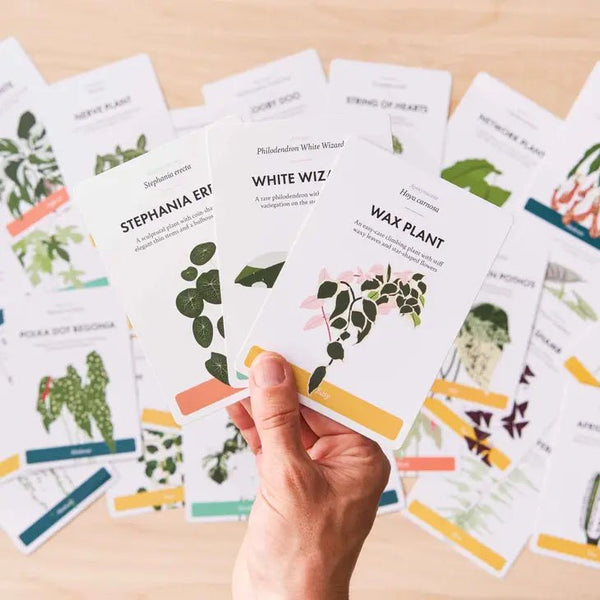 Houseplant Care Cards: Edition 2 - DIGS