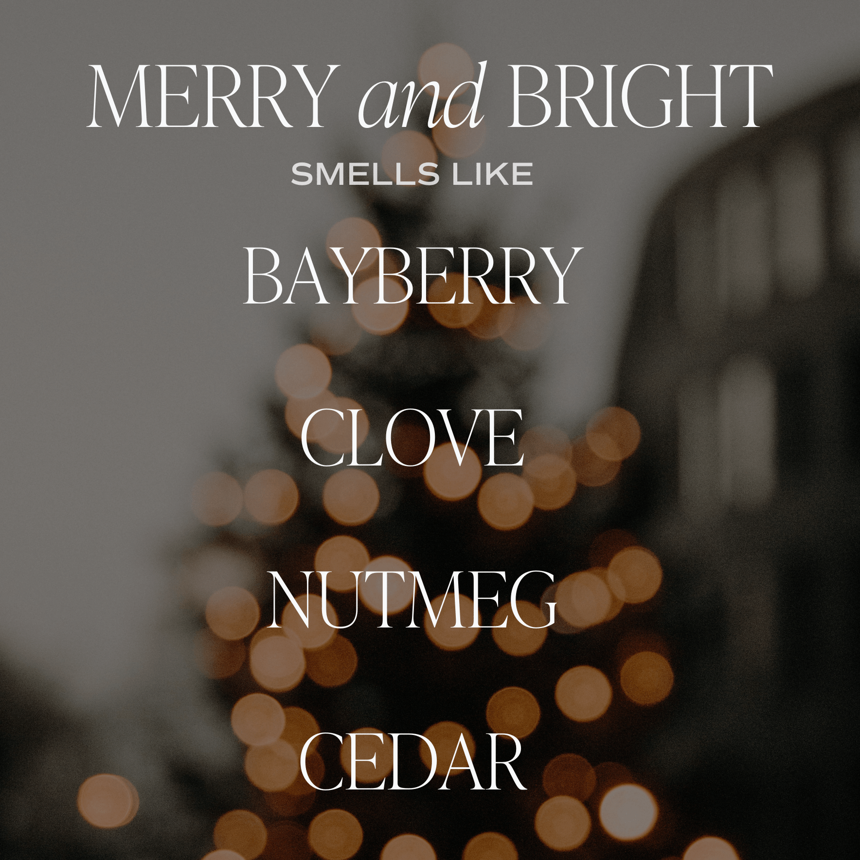 Merry and Bright Candle - DIGS