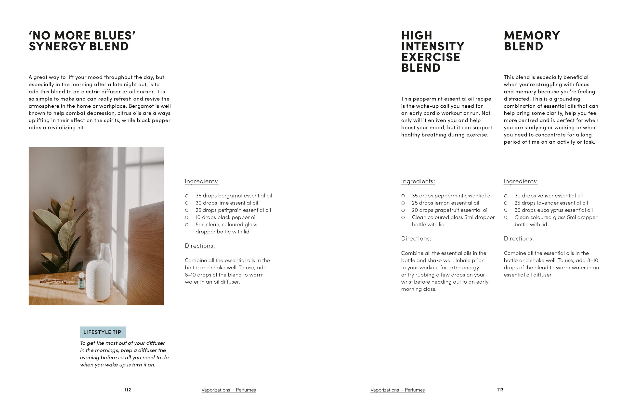 Mud Salt + Medicine - DIGS