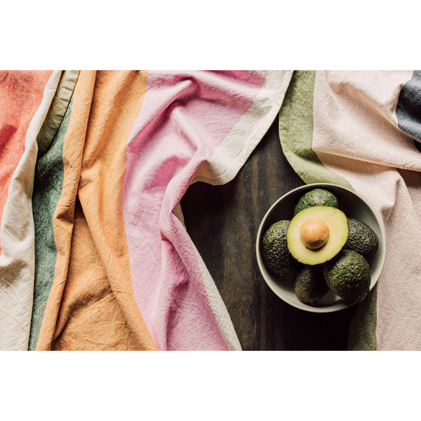 Prism Dishtowels - DIGS