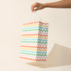 Squiggles Gift Bag - DIGS