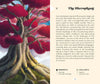 Tarot Landscapes Deck - DIGS