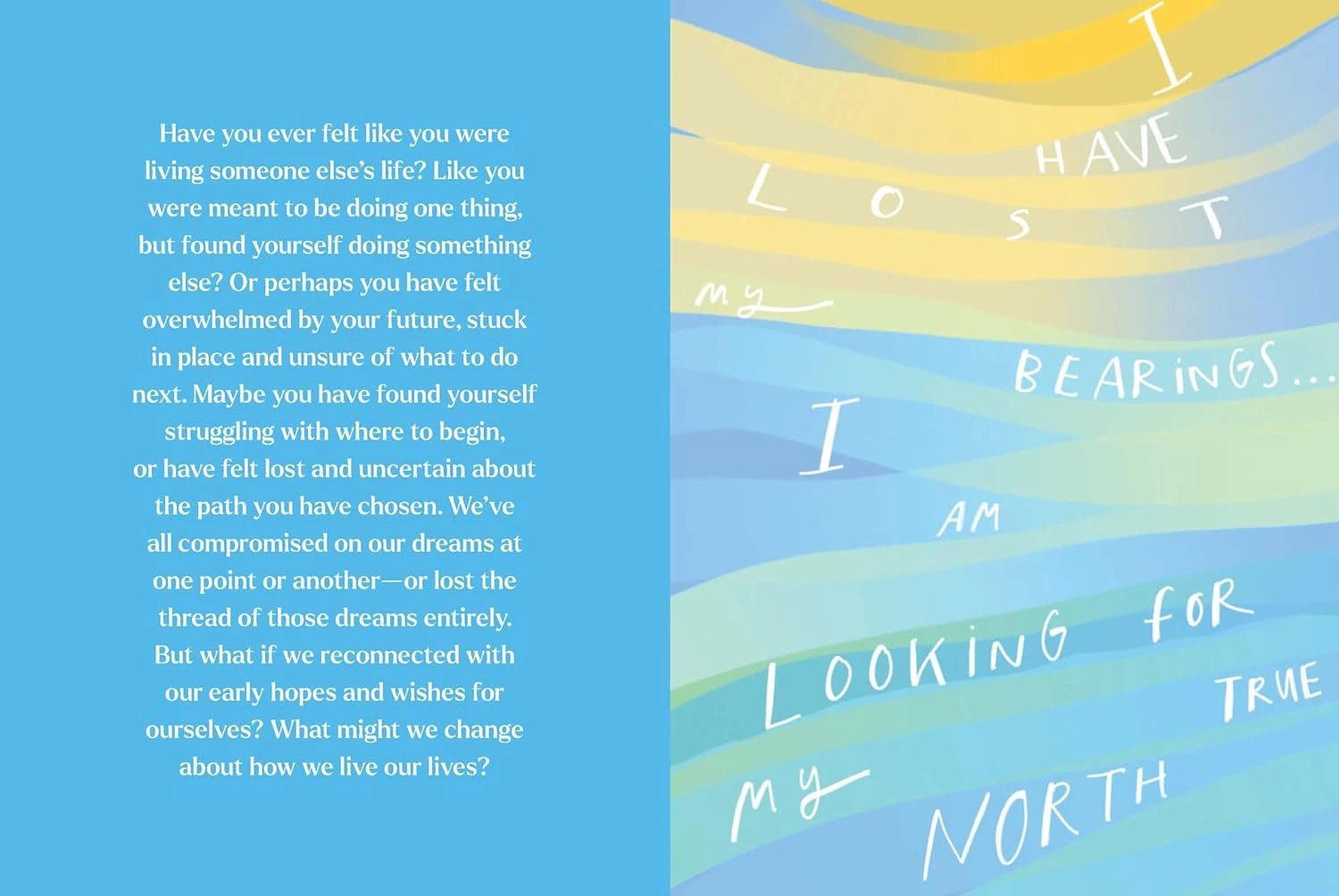 The Life Audit: A Step - by - Step Guide to Discovering Your Goals and building the Life You Want - DIGS