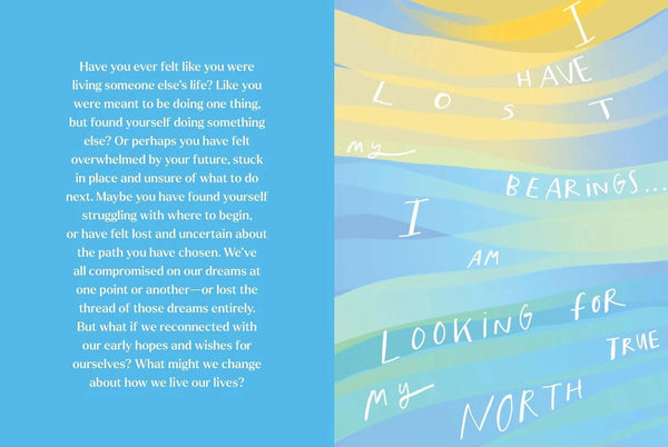 The Life Audit: A Step - by - Step Guide to Discovering Your Goals and building the Life You Want - DIGS