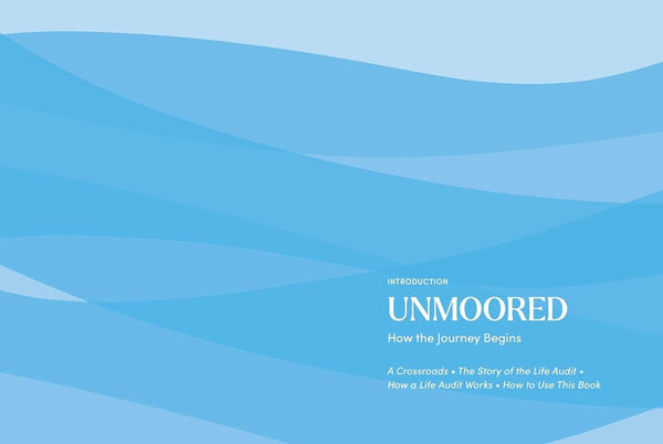 The Life Audit: A Step - by - Step Guide to Discovering Your Goals and building the Life You Want - DIGS