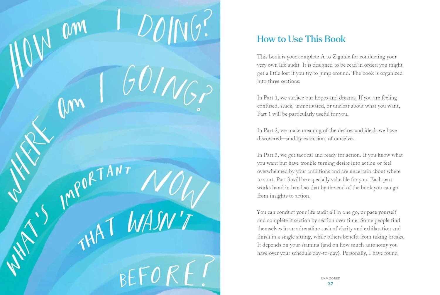 The Life Audit: A Step - by - Step Guide to Discovering Your Goals and building the Life You Want - DIGS