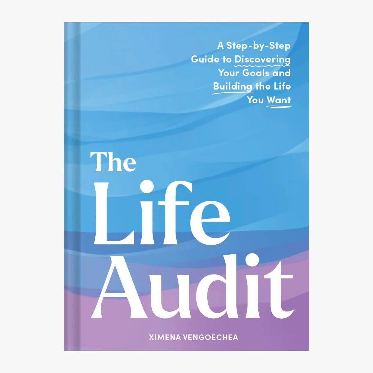 The Life Audit: A Step - by - Step Guide to Discovering Your Goals and building the Life You Want - DIGS