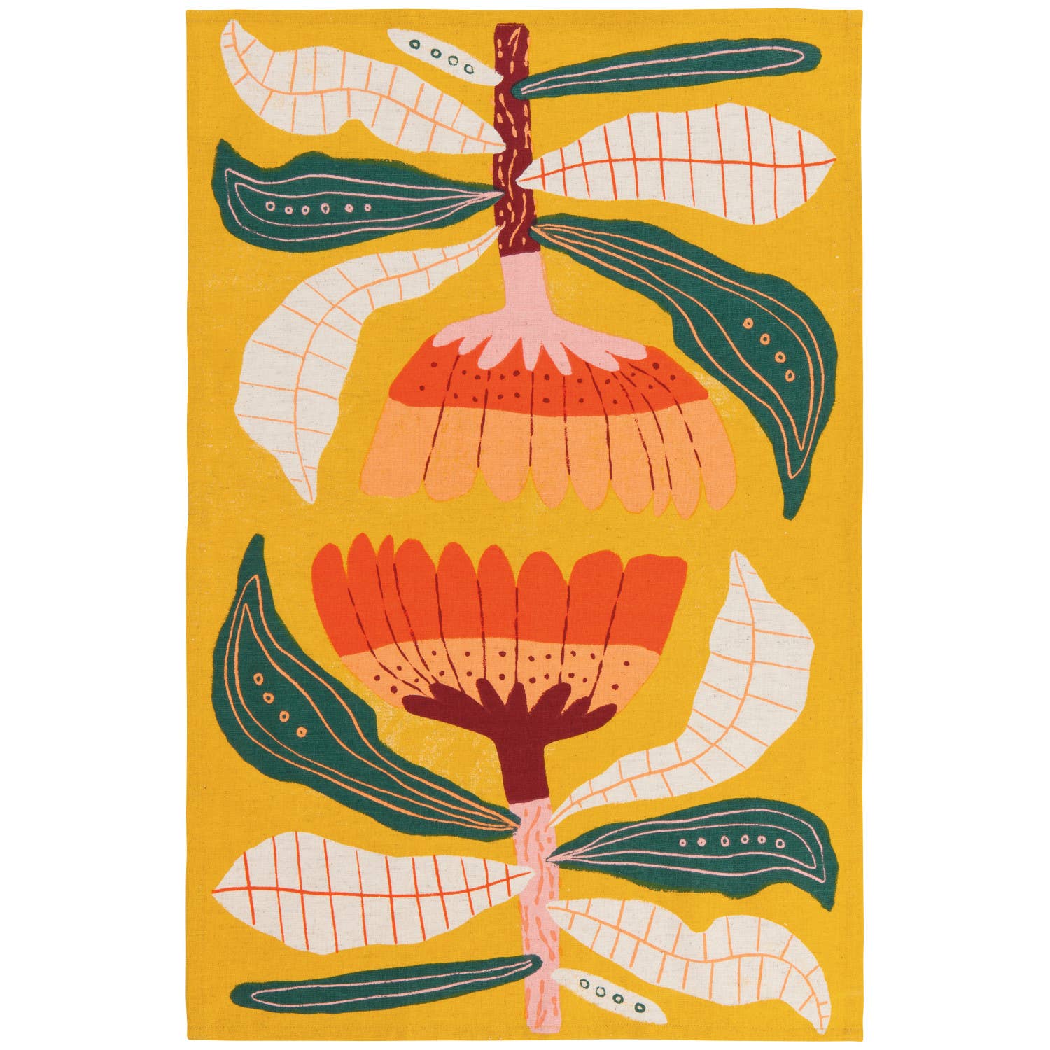 Venus Dishtowels - Set of 2 - DIGS