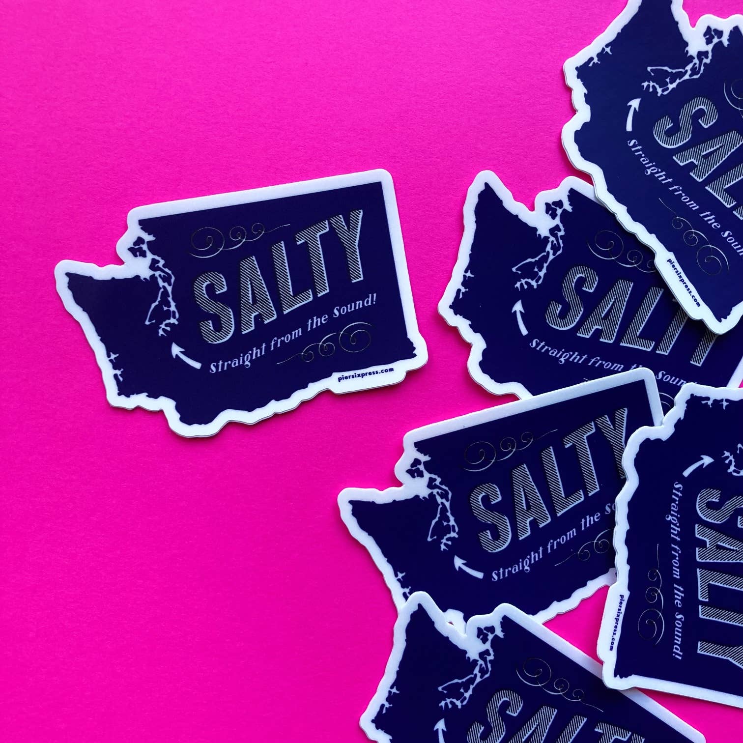Washington State Salty Sticker - DIGS
