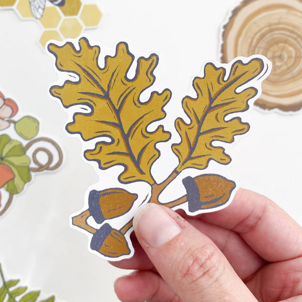 White Oak Acorn Sticker - DIGS