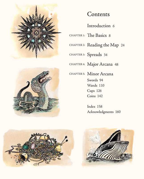 Your Tarot Guide - DIGS