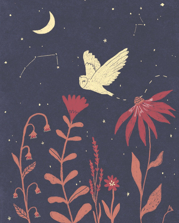 Night Owl 8x10 Art Print