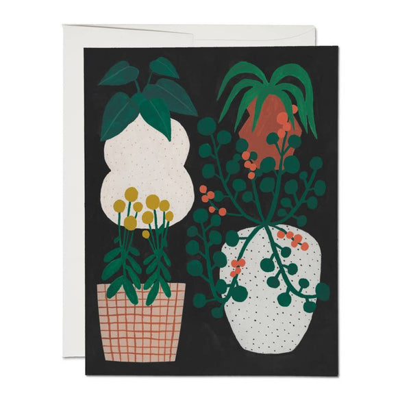 Indoor Plants Card