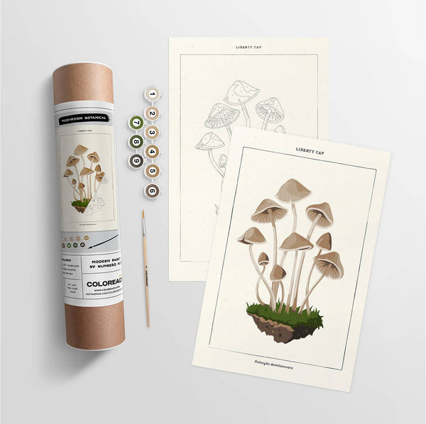 Modern Paint by Numbers Kit: Mushroom Botanical