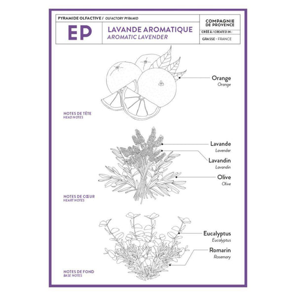 Liquid Marseille Soap Refill: Aromatic Lavender - DIGS