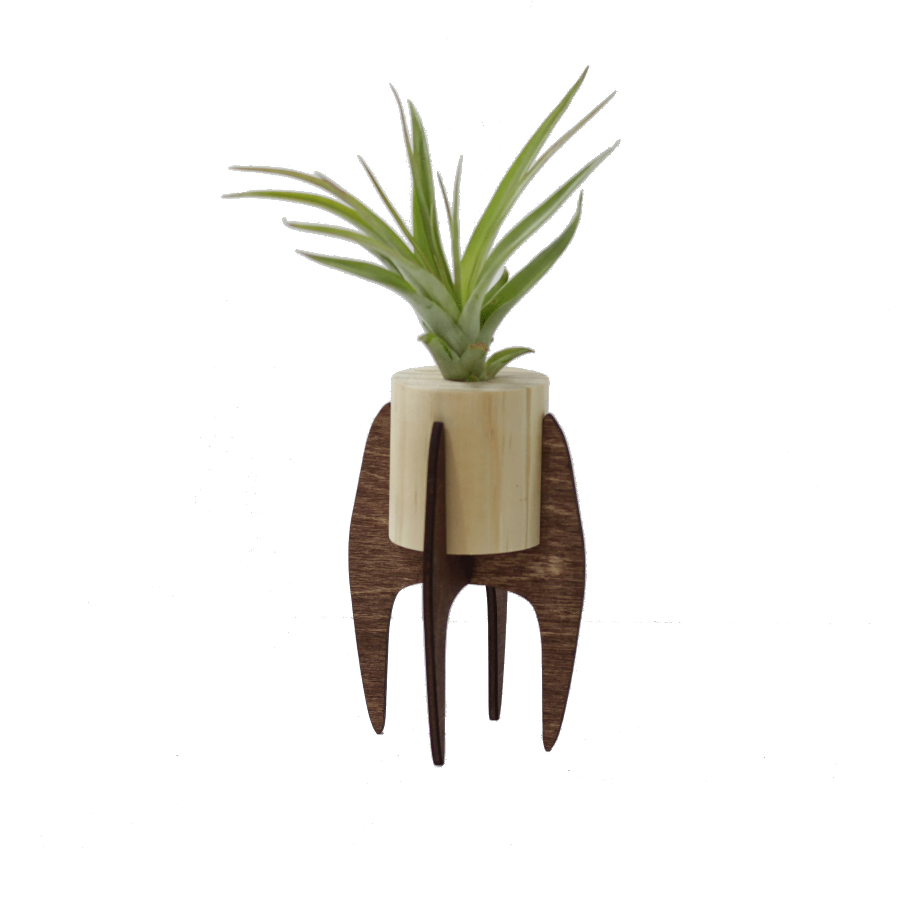 Mini Air Plant Stand - DIGS