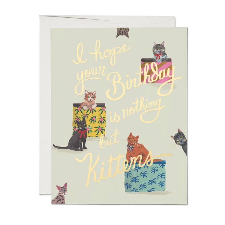 Nothing But Kittens Card - DIGS