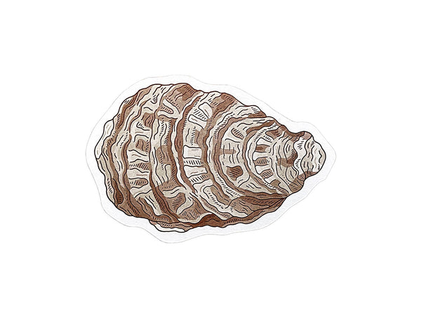 Oyster Postcard - DIGS