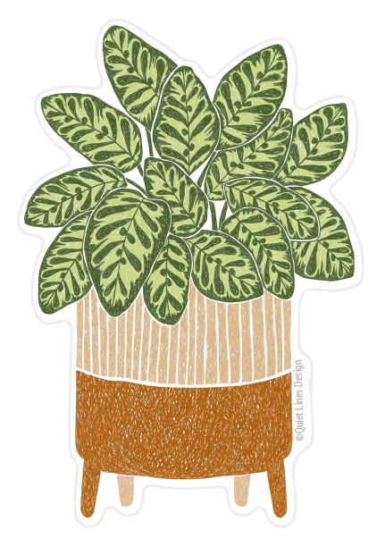 Peacock Plant Sticker - DIGS