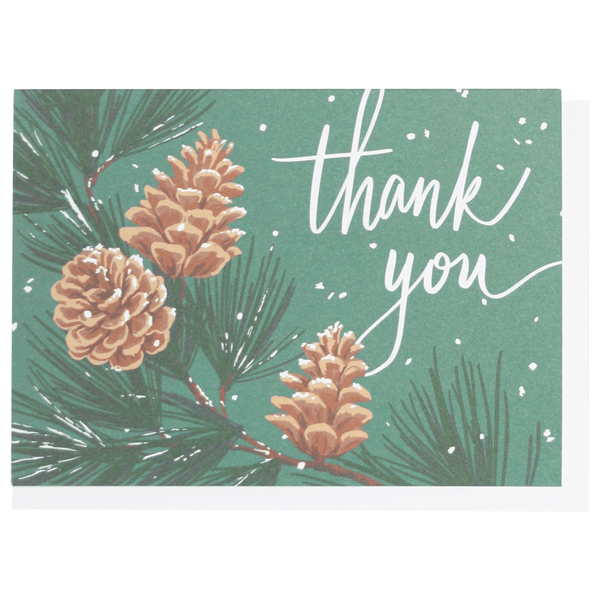 Pinecones Thank You Card Box Set - DIGS