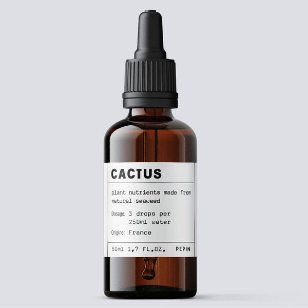 Plant Food: Cacti and Succulents - DIGS