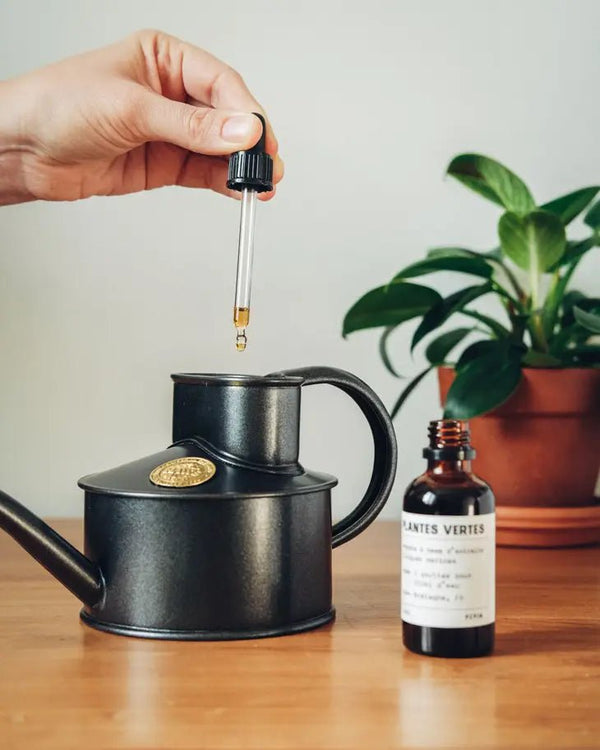 Plant Food: Cacti and Succulents - DIGS