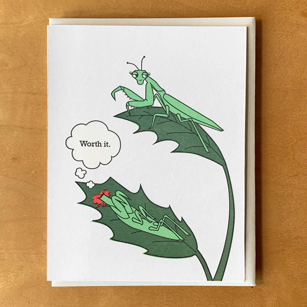Praying Mantis Card - DIGS
