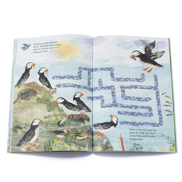 The Big Sticker Book of Birds - DIGS
