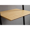 Santa Cruz Leaning Desk - DIGS
