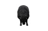 Sheep Sculpture - Statue - DIGS