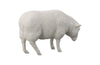Sheep Sculpture - Statue - DIGS
