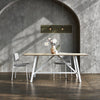 Signal Dining Chair - DIGS