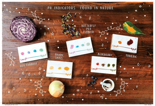 The Science Spell Book - DIGS