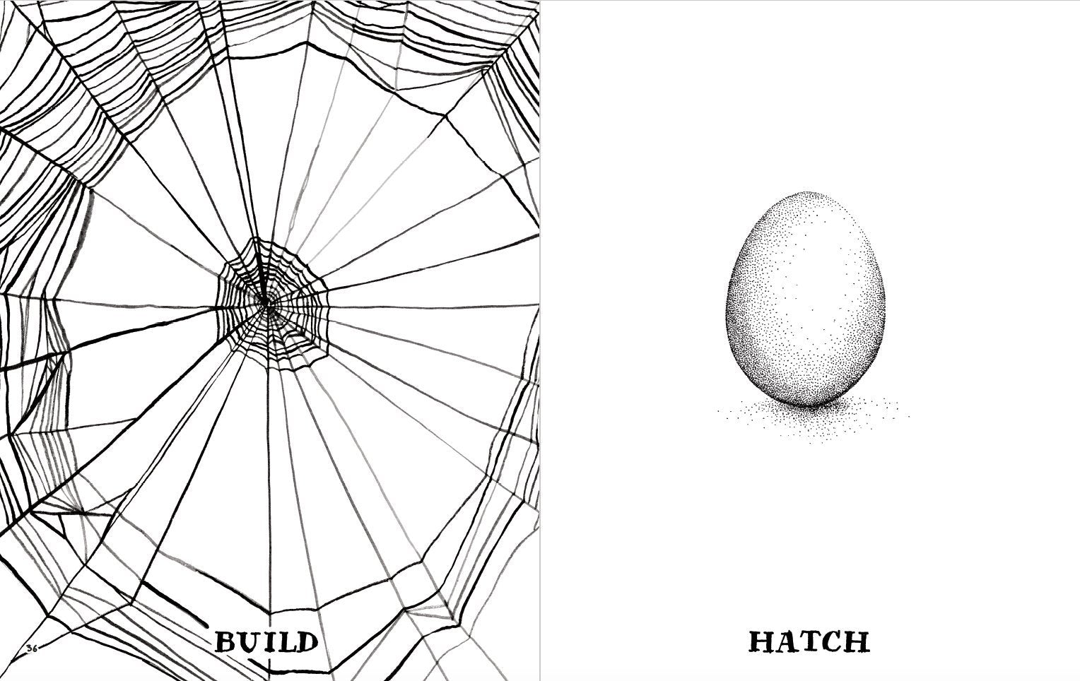 The Wild Unknown Journal - DIGS