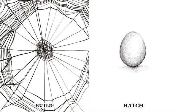 The Wild Unknown Journal - DIGS